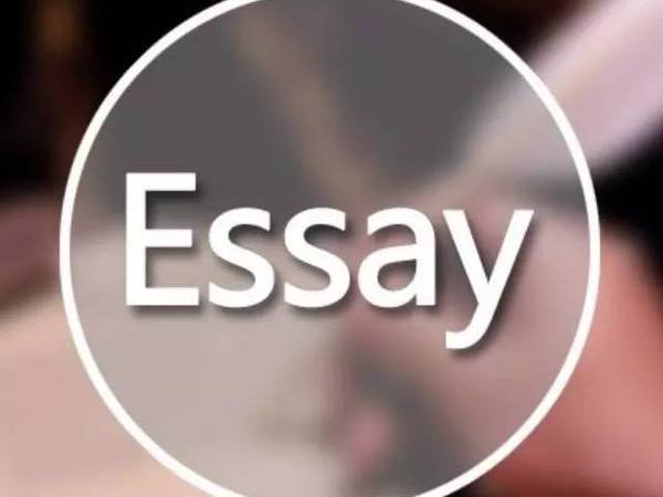 essay写作字数不够怎么办,essay写作字数不够,essay代写,assignment代写,作业代写
