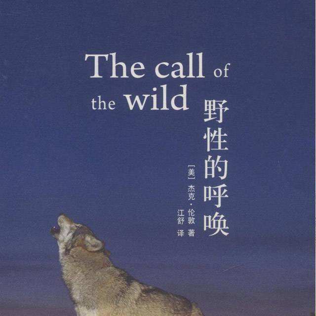 The call of the wild,野性的呼唤,留学生作业代写,assignment代写,美国作业代写